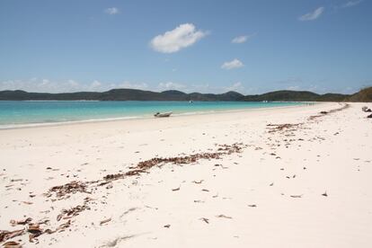 La playa de Whitehaven, en el parque natural de las Whitsundays y a pocos kilómetros de Abbott Point, es considerada una de las playas más bonitas del mundo.