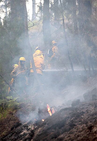 Integrantes de un retén tratan de sofocar un foco del incendio declarado de la localidad abulense de Casavieja.