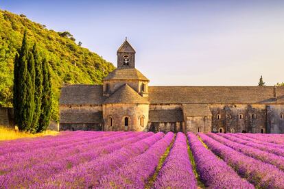 Esta regin personifica el arte francs del buen vivir, entre campos de lavanda (en la foto, la abada de Senanque), olivares y encantadores pueblos de un litoral trufado de calas entre calanques (acantilados). <a href="https://elviajero.elpais.com/elviajero/2017/04/20/actualidad/1492683501_883886.html" target="_blank">Marsella</a> es el contrapunto urbano (bares de moda, restaurantes con estrella Michelin, un interesante panorama artstico contemporneo) a los paisajes que cautivaron a Van Gogh y Czanne, as como a las aguas color turquesa de Gorges du Verdn, entre paredones de roca caliza, la romana ciudad de Arls o la elegante <a href="https://elviajero.elpais.com/elviajero/2018/05/10/actualidad/1525952505_529670.html" target="_blank">Aix-en-Provence</a>. En 2018, adems, se inaugura la nueva sala de la Fondation Carmignac, en la ?le de Porquerolles (frente a la costa de Hyres), enriqueciendo un programa artstico que ocupar adems los antiguos garajes de la Fondation Luma, en Arls, dise?ada por Frank Gehry. <a href="https://www.la-provenza.es/" target="_blank">la-provenza.es</a>