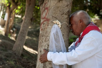 Torres ha recorrido 16 países de América Latina promoviendo la reforestación y tiene intención de ir a Estados Unidos "para pedirle al presidente Donald Trump que se anime a plantar árboles, en vez de poner muros que plante árboles", dijo en declaraciones a AFP.