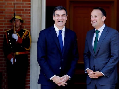 El presidente del Gobierno, Pedro Sánchez, durante su encuentro con el primer ministro de Irlanda, Leo Varadkar.