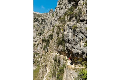 Known locally as the Garganta Divina, or divine throat, this 12-kilometer route takes the visitor through narrow tunnels, and along even narrower pathways that fall away to rocky escarpments along the route of the Cares river, which marks the border between Asturias and León. The route was created more than half a century ago to provide access to the Camarmeña-Poncebos hydro-electric plant.