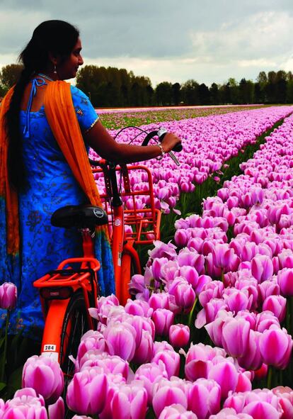 Un paseo en bici desde la ciudad holandesa de Haarlem durante la estación de los tulipanes regala una experiencia technicolor única.