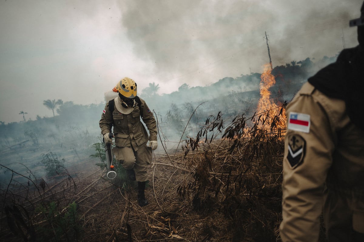 Ola de incendios en la selva: la Amazonia brasileña arde al calor de El Niño y la campaña electoral