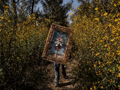 Un hombre peregrina por el Estado de México para celebrar el día de la Virgen de Guadalupe.