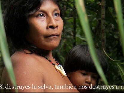 Tú puedes salvar a los awas