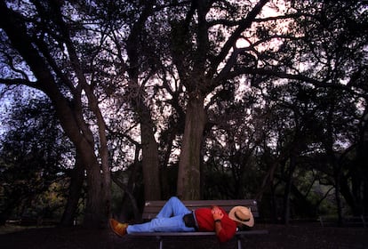 La siesta, el invento español más exportado tras la fregona: un hombre disfruta de una a la sombra de los árboles en un parque de California.