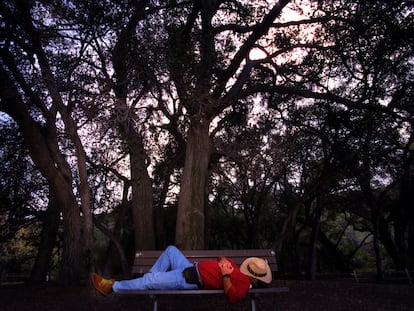 La siesta, el invento español más exportado tras la fregona: un hombre disfruta de una a la sombra de los árboles en un parque de California.