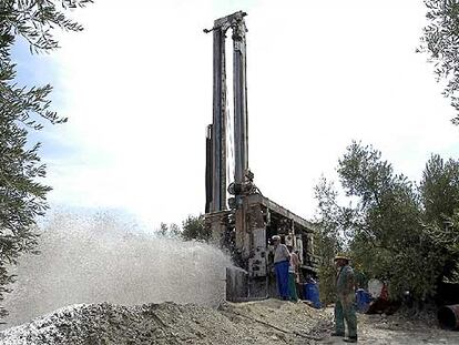 El agua brota a presión de 450 metros bajo tierra, el viernes en un sondeo en un olivar de Ibros (Jaén).