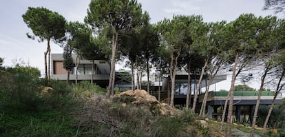 De los 133 pinos que hay en la finca, solo hubo que cortar ocho durante las obras.