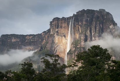 Vista del Salto Ángel, en el parque nacional de Canaima, en Venezuela. El agua cae 979 metros desde el borde de una de las formaciones geológicas –las mesetas conocidas como tepuyes-- más antiguas del planeta. Lleva su nombre por Jimmy Angel, el aviador estadounidense que en 1937 consiguió posarse en su cima.