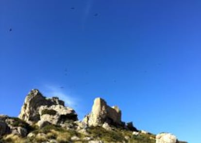 El Castillo del Rey, en Ternelles, lugar de reproducción del buitre negro.