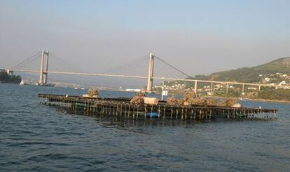 Batea en ría de Vigo (Pontevedra) con el puente de Rande al fondo.