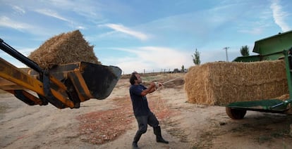 Un granjero manipula una paca de paja en Fuentespreadas (Zamora).