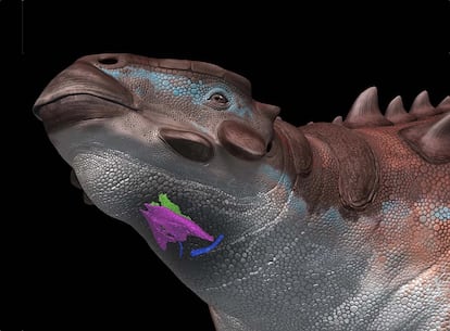 Dinosaurios
