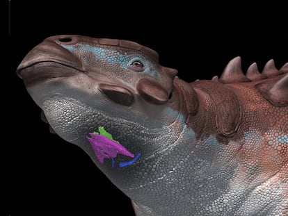 Dinosaurios