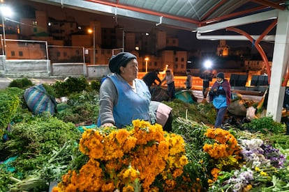 María Sandra Vinocunga (46) en su puesto de venta de plantas medicinales