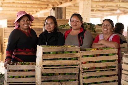 Agricultura en Bolivia