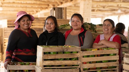 Productoras posan con su cosecha de pimientos en el Mercado Integración del Sur en Cochabamba (Bolivia).