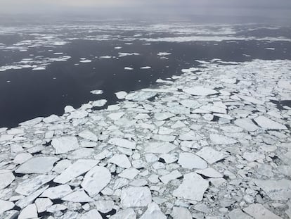 Cambio climático Antártida