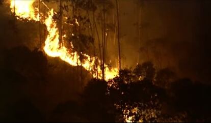 Inc&ecirc;ndio na floresta da Cantareira, zona norte de S&atilde;o Paulo.