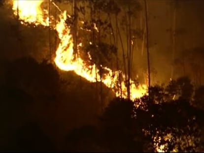 Inc&ecirc;ndio na floresta da Cantareira, zona norte de S&atilde;o Paulo.