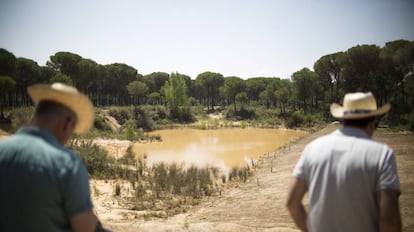 La laguna del Lince, rehabilitada por el proyecto Doñana Heineken, en Hinojos, Huelva.