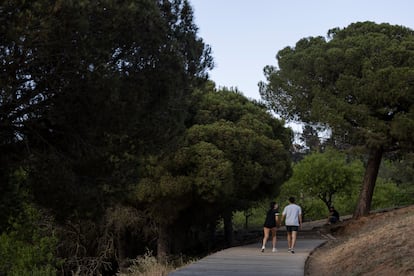 Una pareja camina por la zona de pícnic de la plaza de Mireia, en el parque natural de Collserola.