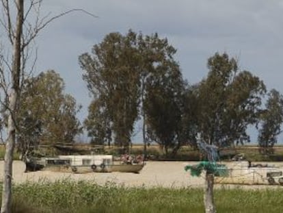 Embarcaciones empleadas por los furtivos en el bajo Guadalquivir.