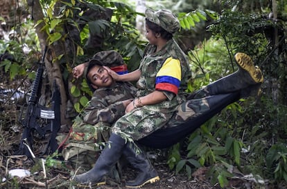 Members of the Revolutionary Armed Forces of Colombia (FARC) take a rest at a camp in the Colombian mountains on February 18, 2016. Many of these women are willing to be reunited with the children they gave birth and then left under protection of relatives or farmers, whenever the peace agreement will put an end to the country's internal conflict.    AFP PHOTO / LUIS ACOSTA