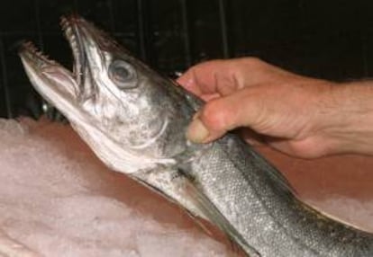 Un pescadero elige una merluza en su puesto de un mercado madrileño. EFE/Archivo