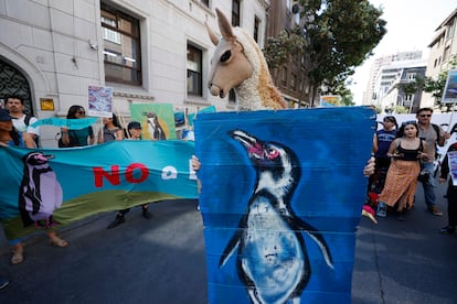 protestas contra el proyecto Dominga