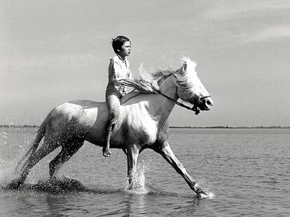 Un niño pegado a un peinado llamado Folco y un caballo con flequillo protagonizaron en 1953 ‘Crin blanca’, una película sobre la libertad de peinarse como uno quiera.