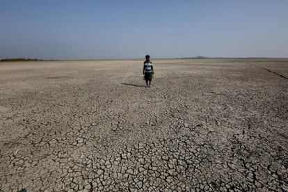 Un hombre en busca de agua potable camina sobre las zonas secas del lago Upper prácticamente vacío debido a la sequía en Bhopal (India).