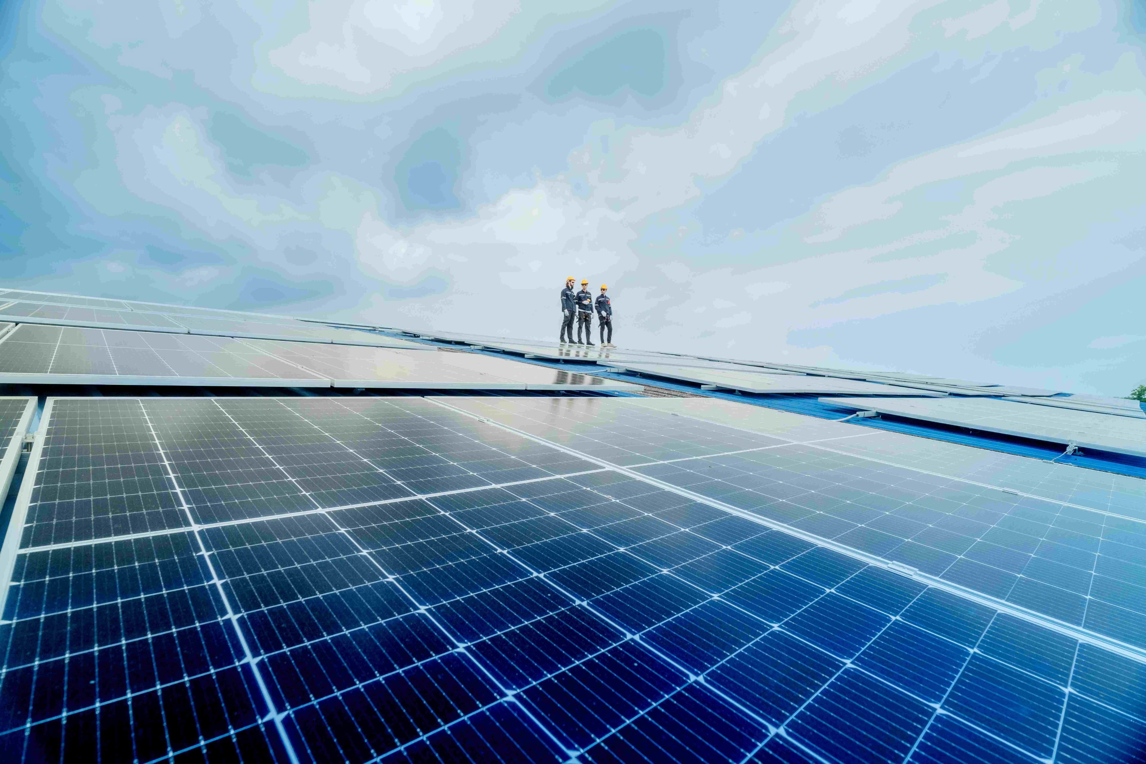 La fotovoltaica de Telefónica y Repsol redujo ingresos y siguió en pérdidas en 2024 