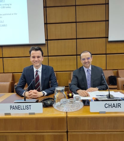 Castellanos-Jankiewicz participando como panelista ante el Grupo de Trabajo de las Naciones Unidas sobre Armas de Fuego en Viena, en abril pasado.