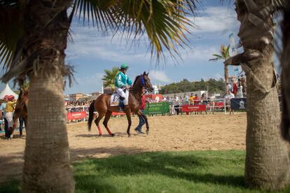 Para cuando Nieves García se sube a su caballo y se coloca en el ‘paddock’ de salida, el sol ya está cerca de ponerse en la playa de Bajo de Guía, en Sanlúcar de Barrameda. No es que sea la única mujer que se disputa el premio rodeada de hombres en la cuarta carrera del día, es que no participa ninguna mujer más en este ciclo de las Carreras de Caballos de Sanlúcar -que concluyen este martes 27 de agosto- y es una de las cuatro yoquetas que existen en España.