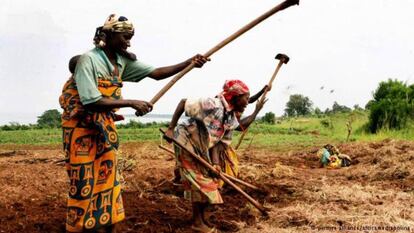 Campesinas trabajando en una zona rural de Burundi / DW