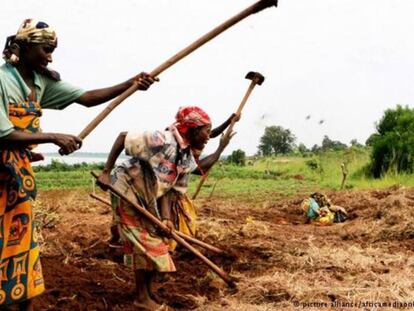 Campesinas trabajando en una zona rural de Burundi / DW