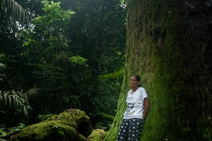 Claudeci Ribeiro, irmã de Zé Cláudio, assassinado em 2011 no Pará.