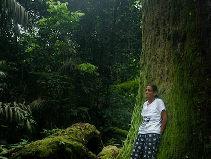 Claudeci Ribeiro, irmã de Zé Cláudio, assassinado em 2011 no Pará.