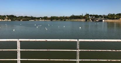 Lago del parque Polvoranca, en Leganés.