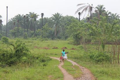 Una familia pasea por los campos de La Confianza, en el Valle de Bajo Aguán (Honduras). Los conflictos por la tierra en la zona han producido 133 asesinatos.