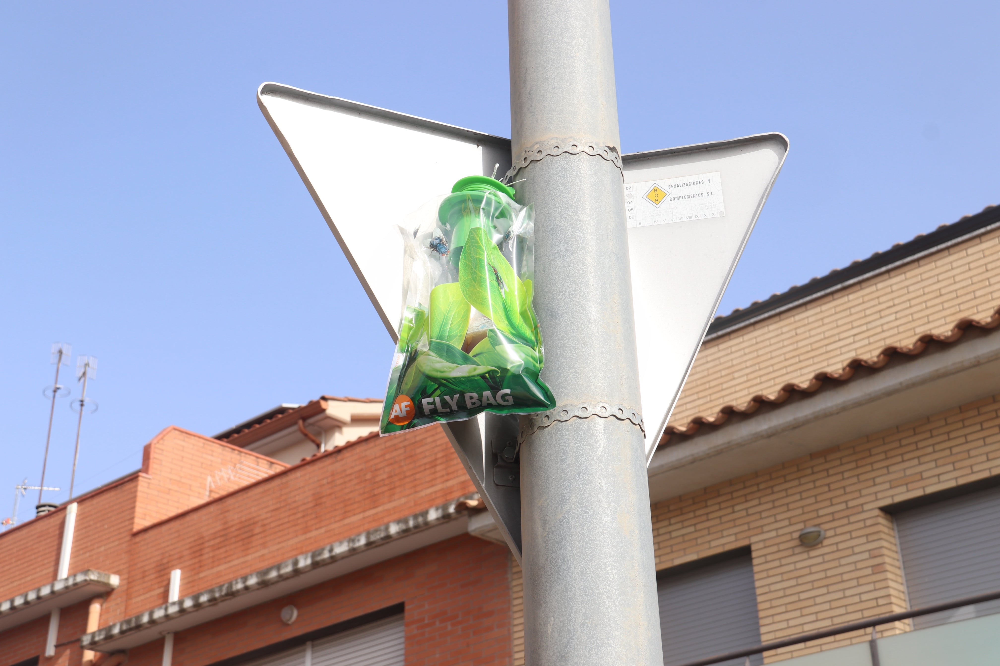 Una plaga de moscas invade Hostalric (Girona) y obliga a cerrar empresas: "Está siendo asqueroso"