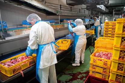 Empleados trabajan en un matadero en Baja Sajonia, al norte de Alemania.