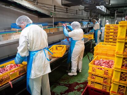 Empleados trabajan en un matadero en Baja Sajonia, al norte de Alemania.