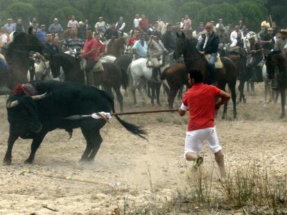 Del Toro de la Vega a las vacas sagradas