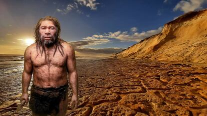 Neandertales