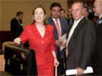La ministra de Sanidad y Consumo, Ana Pastor, poco antes de su comparecencia en el Congreso.PLANO MEDIO - ESCENA