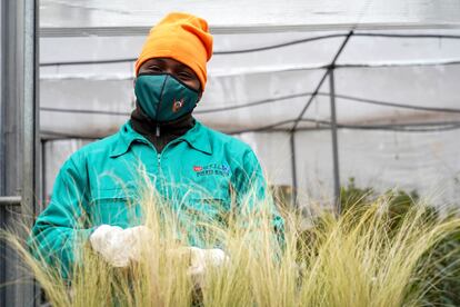 Kaoute, camerunés de 18 años llegado en patera a Tarifa, aprende jardinería en la Unidad de Formación e Inserción Laboral (Ufil) Puerta Bonita de Carabanchel.